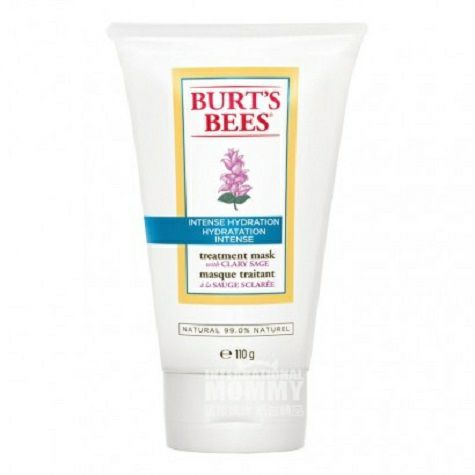 BURT'S BEES 美國小蜜蜂水之初補水保濕修復面膜 海外本土原版