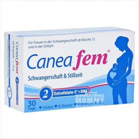 Caneafem 德國Caneafem懷孕期多種維生素葉酸DHA膠囊2段 海外本土原版