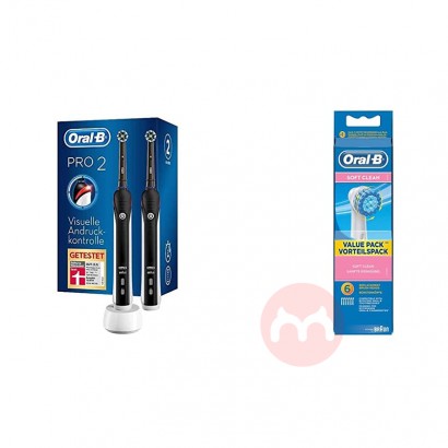 BRAUN 德國博朗oral-b PRO 2900電動牙刷兩隻裝+6個...
